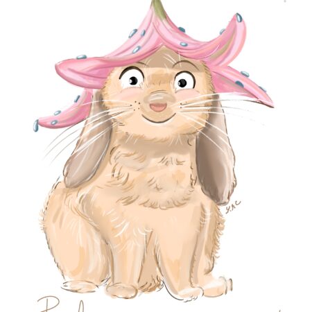 Commande amelie