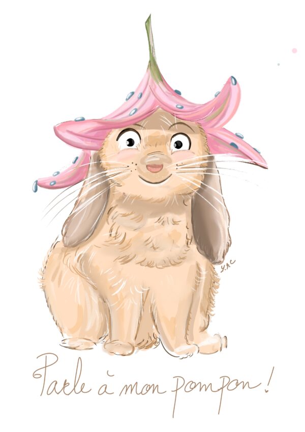Commande amelie