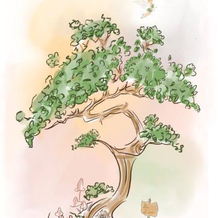 Commande laetitia